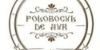 Sunt cunoscute rezultatele concursului ”Polobocul de Aur”, etapa zonală