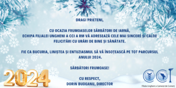 Sărbători Fericite!